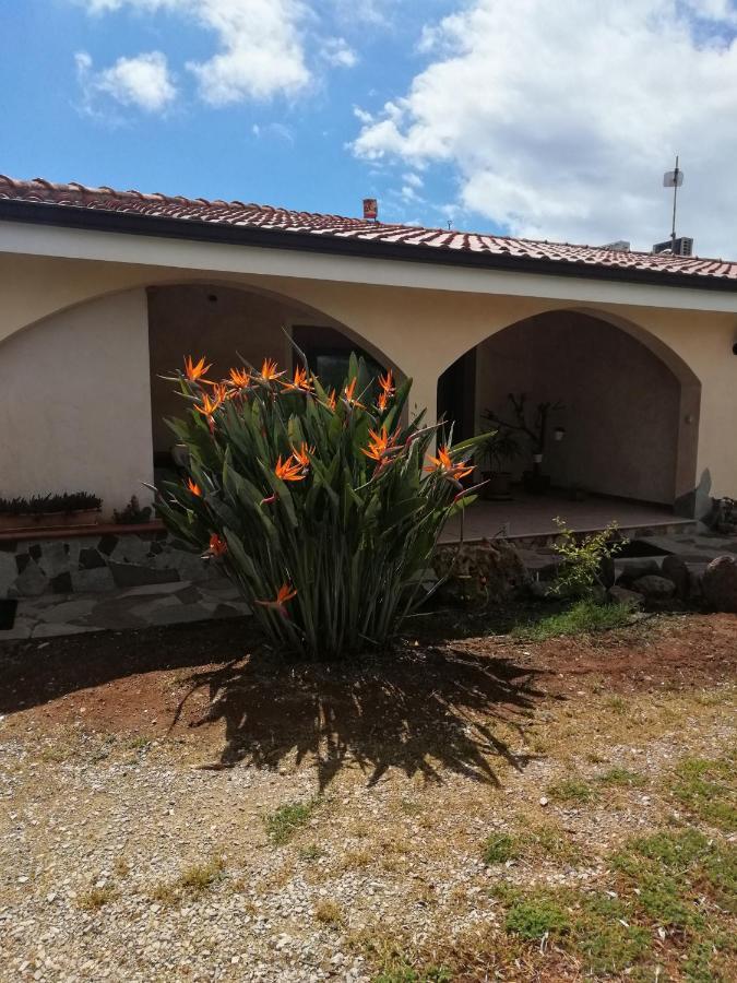 Da Patrizia Bed & Breakfast Alghero Ngoại thất bức ảnh