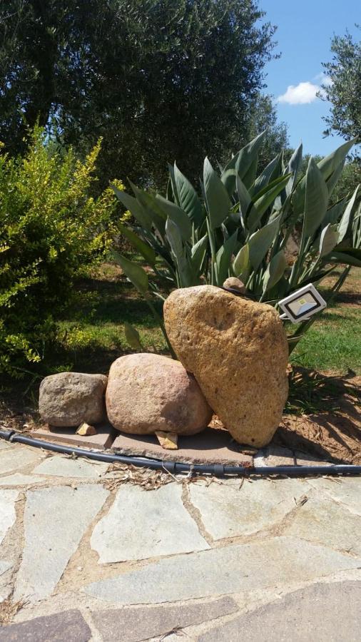 Da Patrizia Bed & Breakfast Alghero Ngoại thất bức ảnh